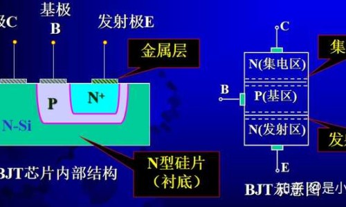 尿毒症患者能吃什么水果-尿毒症病人怎么护理网尿毒症病人吃什么营养品最好知识网站,分享尿毒症病人吃什么水果好大全